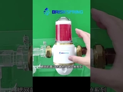BriskSpring Gill Mesh Pre-Filter | Efficient Sediment Protection for Your Home