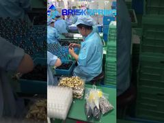 40 100 Microns Whole House Spin Down Sediment Dual Filtration Sediment Prefilter Reusable