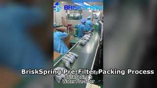 How Water Pre-Filters Are Packed in Factory | BriskSpring Manufacturing Process