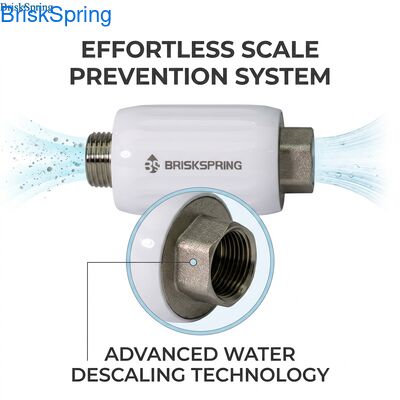 2025 NSF Certified Compact Terminal Water Descaler for Maintenance Free Home Use

