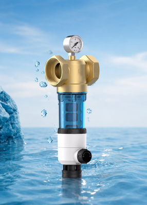 BriskSpring T1-Z2-BS Double-Sided Scraping Whole House Water Pre-Filter with 40 Micron Filtration and Pressure Gauge