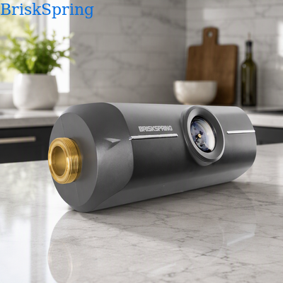 Whole House Water Descaler with 5T/H Flow Rate and Maintenance-Free Salt-Free Water Conditioner