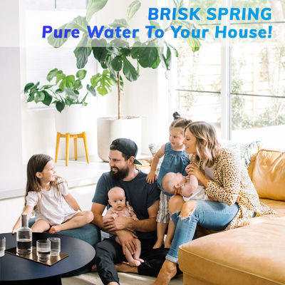 Food Grade Stainless Steel Screen Water Pre Filter High Flow Tap Water Safe Household Purification System