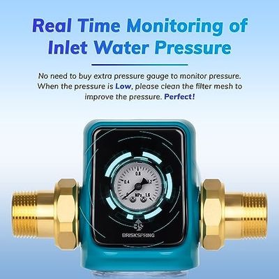 Food Grade Stainless Steel Screen Water Pre Filter High Flow Tap Water Safe Household Purification System