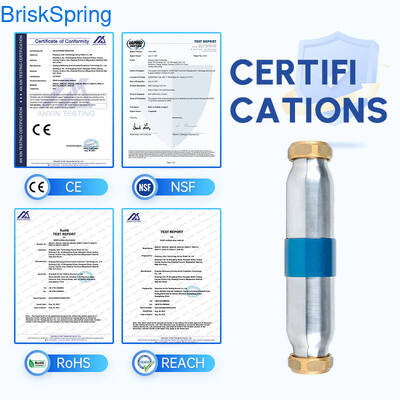 High Efficiency SAAS Turbo Chip Water Descaler with 5T/H Flow Rate and NSF Certification for Whole House Water Systems