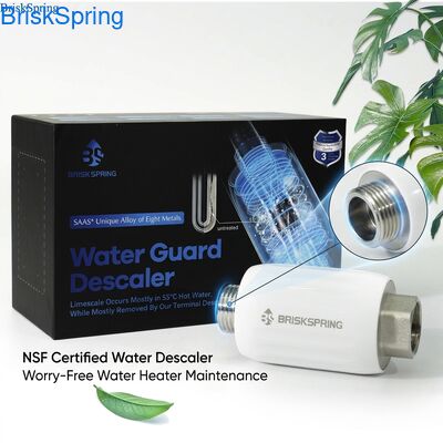 NSF Certified Terminal Water Descaler Maintenance Free for Water Heater Protection