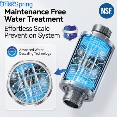 2025 NSF Certified Compact Terminal Water Descaler for Maintenance Free Home Use

