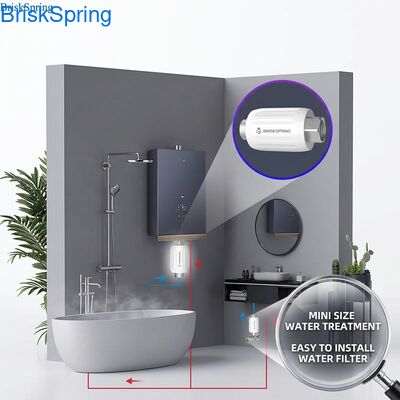 NSF Certified Premium Mini Size Water Descaler for Bathroom and Kitchen Water Use
