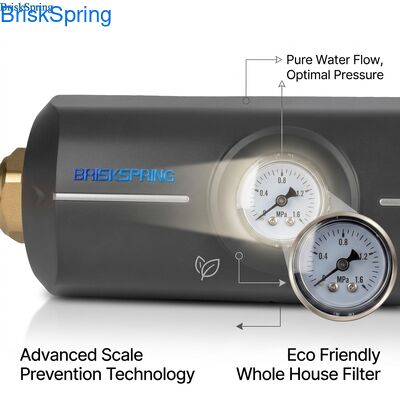 Eco Friendly Non Toxic ABS Body Anti Scaling Filter Whole House Water Descaler