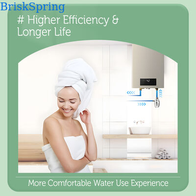 BriskSpring T5-M7-BS Commercial Water Scale Inhibitor with 40 Micron SUS316 Mesh, Replaceable Cartridge, and 30 L/min Flow Rate